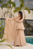 Beige Trending Suit Set Tabby Organza Fabric Mukesh Handwork