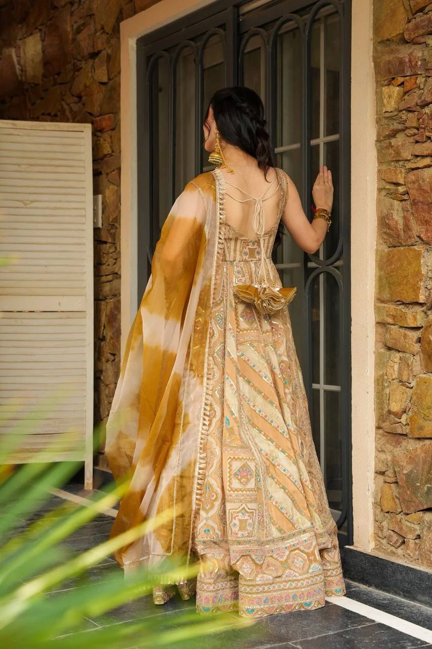 Jimmy organza silk Gown